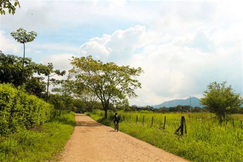 Ruta Al Tolima Es Un Proyecto Digital Que Busca Dar A Conocer