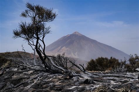 El Fuego De Tenerife Tiene Todo El Per Metro Consolidado Pero Con