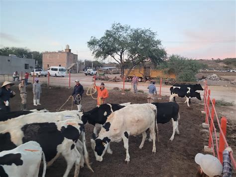 Concluye primera etapa de la Clínica Veterinaria Ambulatoria del