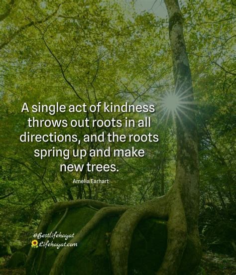 A Single Act Of Kindness Quote Life Hayat