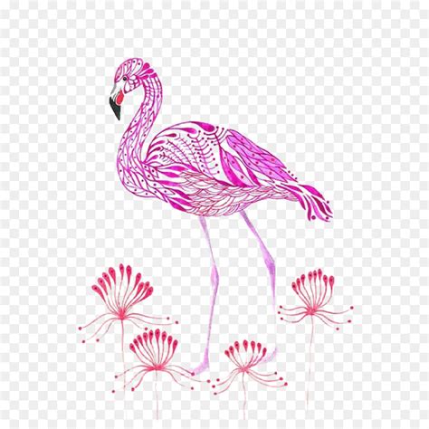 Les Flamants Roses Oiseau Peinture à Laquarelle PNG Les Flamants