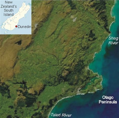 Otago Peninsula - Wikipedia