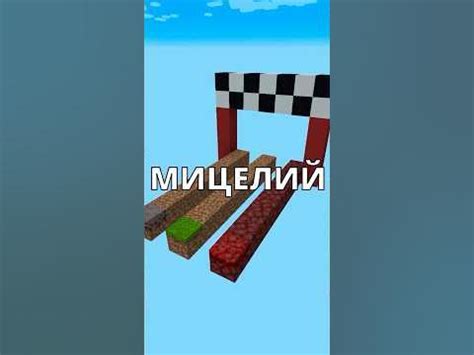 🧸Кто быстрее? Мицелий vs Нилий vs трава #shorts #minecraft #майнкрафт ...