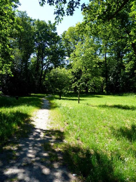 PARK FOLWARCZNY W LUBIESZOWIE Z Misiem W Teczce