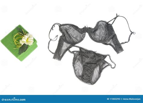 Zwarte Lingerie Stock Afbeelding Image Of Sensueel Dame