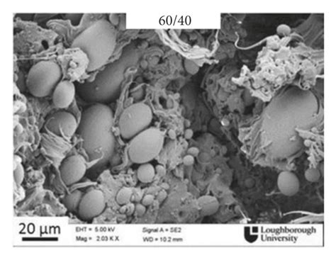 Sem Micrographs Of Fracture Surfaces From The Tensile Tests Of Pbat Pla