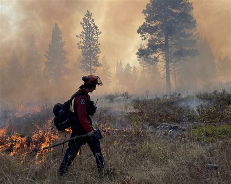 New Wildfire In B C S Central Interior Sparks Evacuation Order In