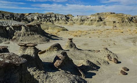 Foto Kawasan Hutan Belantara Bisti Gambar Dan Background Untuk