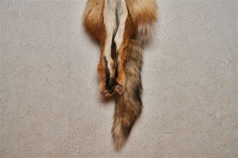 Siberian Red Fox Tanned Fur Pelt Skin Hide For Sale Real Decor