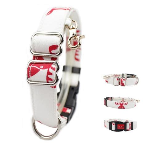 Eco - Friendly Dog Collars And Leashes / Personalized Dog Collars 170 ...