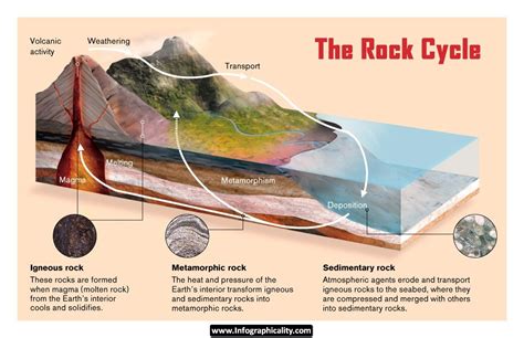 The Rock Cycle Infographicality Rock Cycle The Rock Sedimentary