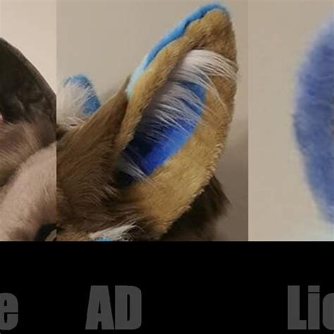 Fursuit Ears Pattern Pack 7 Patterns Etsy