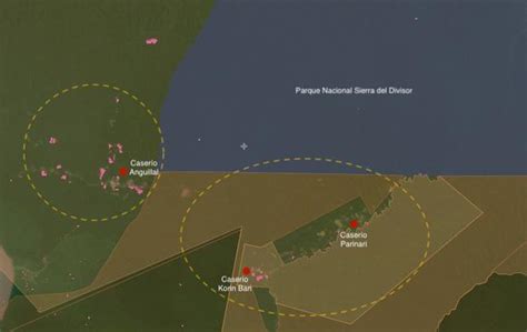 Perú Más De 12 Mil Hectáreas De Deforestación Y 9 Pistas De Aterrizaje