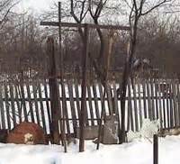 Виноградные шпалеры, устройство шпалер, типы беседок винограда ...