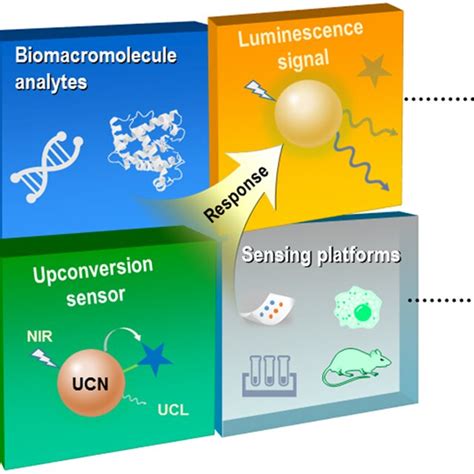 Schematic Illustration Of Upconversion Platforms For Optical Sensing Of