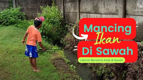 Ajak Anak Anak Mumpung Libur Dan Waktunya Kasih Pupuk Ke Sawah YouTube