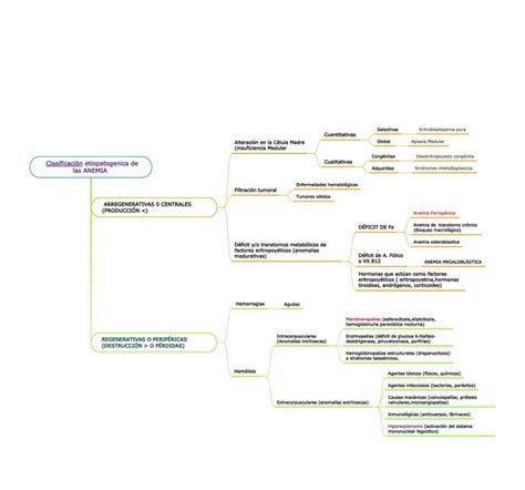 Clasificación Etiopatogénica de las Anemias Samuel Barbosa uDocz