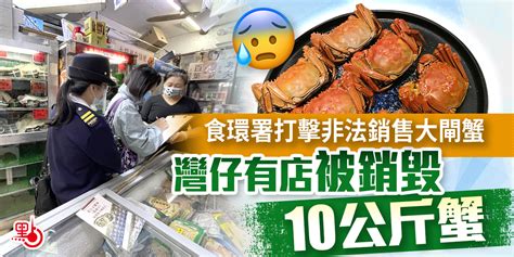 食環署打擊非法銷售大閘蟹 灣仔有店被銷毀10公斤蟹 港聞 點新聞