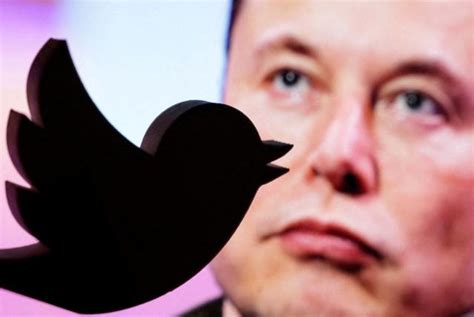 Elon Musk News Live Police Investigate Crazy Stalker Incident As