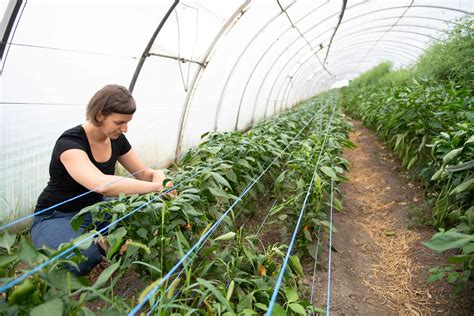 Europäische Innovationspartnerschaft f Landwirtschaftliche