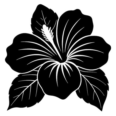 Premium Vector Hibiscus Flower Silhouette Vector Illustration