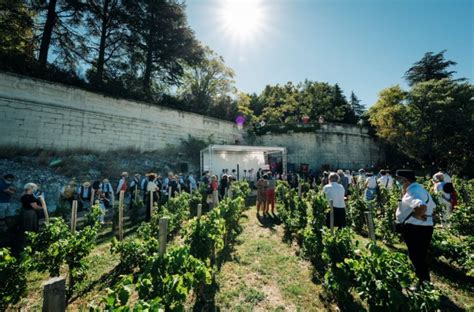 Le Ban Des Vendanges Se R Invente Avignon