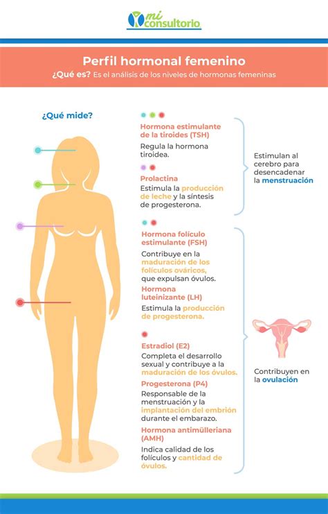 Consult egyenlő mikroszkóp para que sirven las hormonas sexuales a