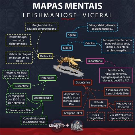 Mapas Mentais Sobre Leishmaniose Study Maps