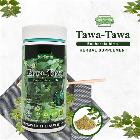 Tawa Tawa Herbal Supplement 100 Capsules Bottle Euphorbia Hirta Shopee Philippines