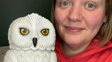 Scentsy Haul Unboxing Feat Harry Potter Hedwig Platform