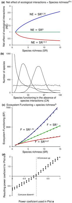 Effect Of Ecological Interactions On Biodiversity Ecosystem Functioning