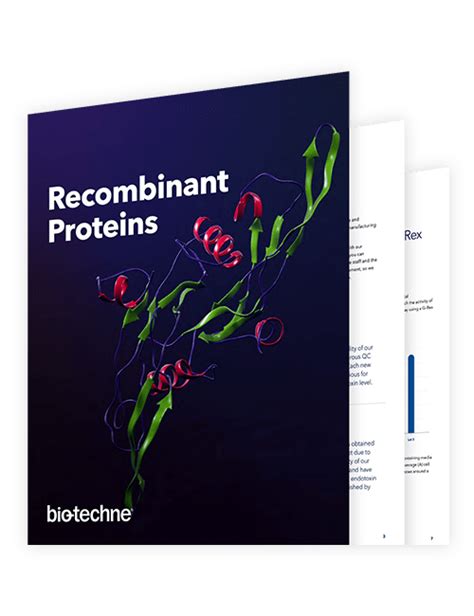 Recombinant Proteins Guide Bio Techne