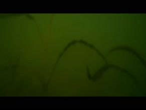 MALLORY HARGROVE Nude AZNude