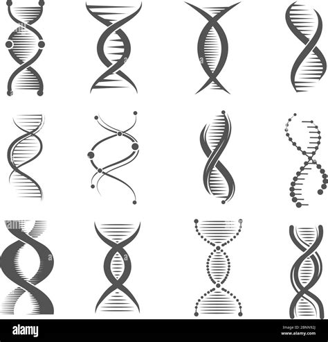 Iconos De Espiral De Adn Helix Human Technology Research Mol Cula Y