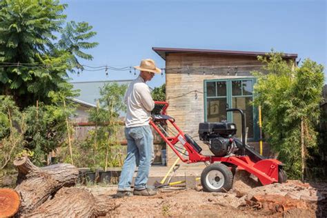 How Much Does Stump Grinding Cost