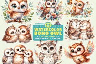 Watercolor Boho Owl Clipart Graphic By Ymckdesignstudio Creative Fabrica