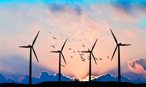 Desvantagens Da Usina Eólica - Desvantagens Da Energia Eolica