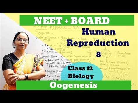 Human Reproduction OOGENESIS Class 12 Biology Part 8 Target NEET And