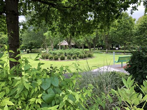What To Do In Adare Wild Irish Walks