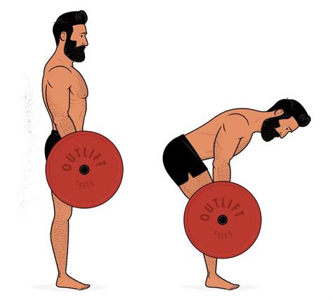 The Romanian Deadlift Rdl Guide