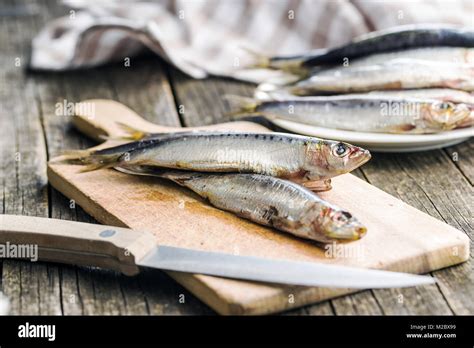 Raw Sardines Fish On Cutting Board Stock Photo Alamy