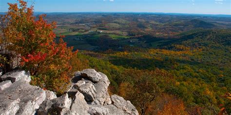 The Nature Conservancy Receives 425 Million For Appalachians