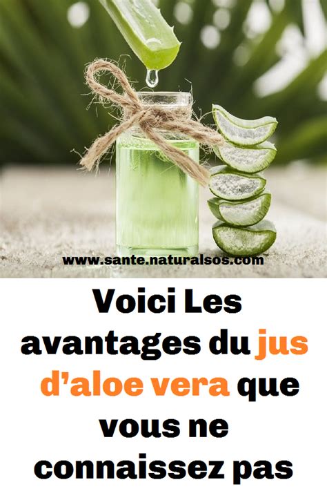 Voici Les Avantages Du Jus Daloe Vera Que Vous Ne Connaissez Pas