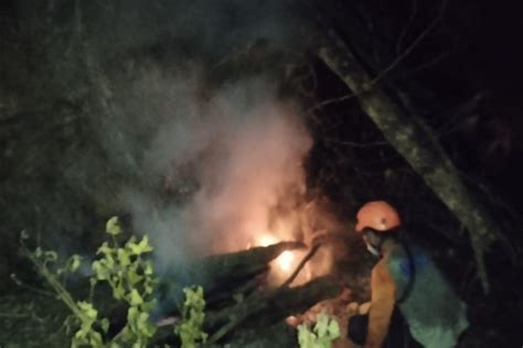 Foto Hutan Pinus Seluas Hektar Di Kaliputih Banyumas Terbakar