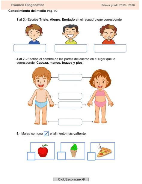 Examen Diagnóstico Primer Grado 2019 2020 Imagenes Educativas