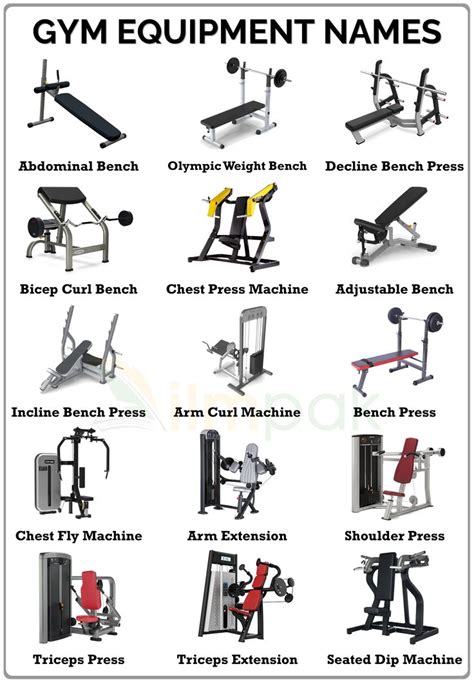 Gym Equipment Names And Pictures Gym Vocabulary Gym Equipment Names