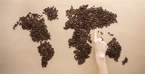 De Etiopía a Martinica la historia del café en América Latina