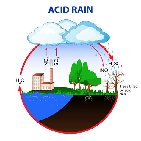 Nutrient Cycles Nature Journals