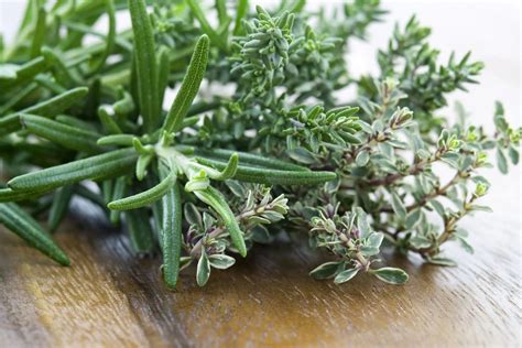 What To Do With Fresh Thyme And Rosemary Storables