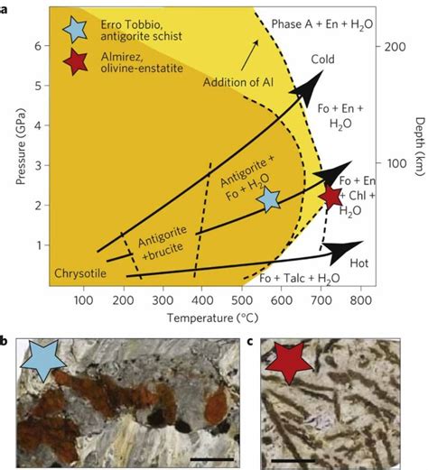 High Abundances Of Noble Gas And Chlorine Delivered To The Mantle By